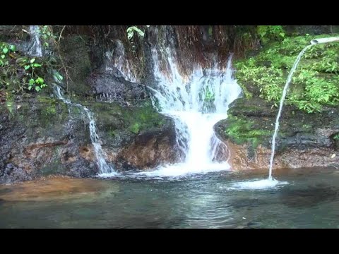 Pemandian Otak Kokok Joben