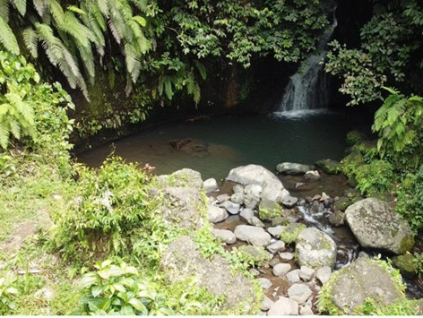 Air Terjun durian indah
